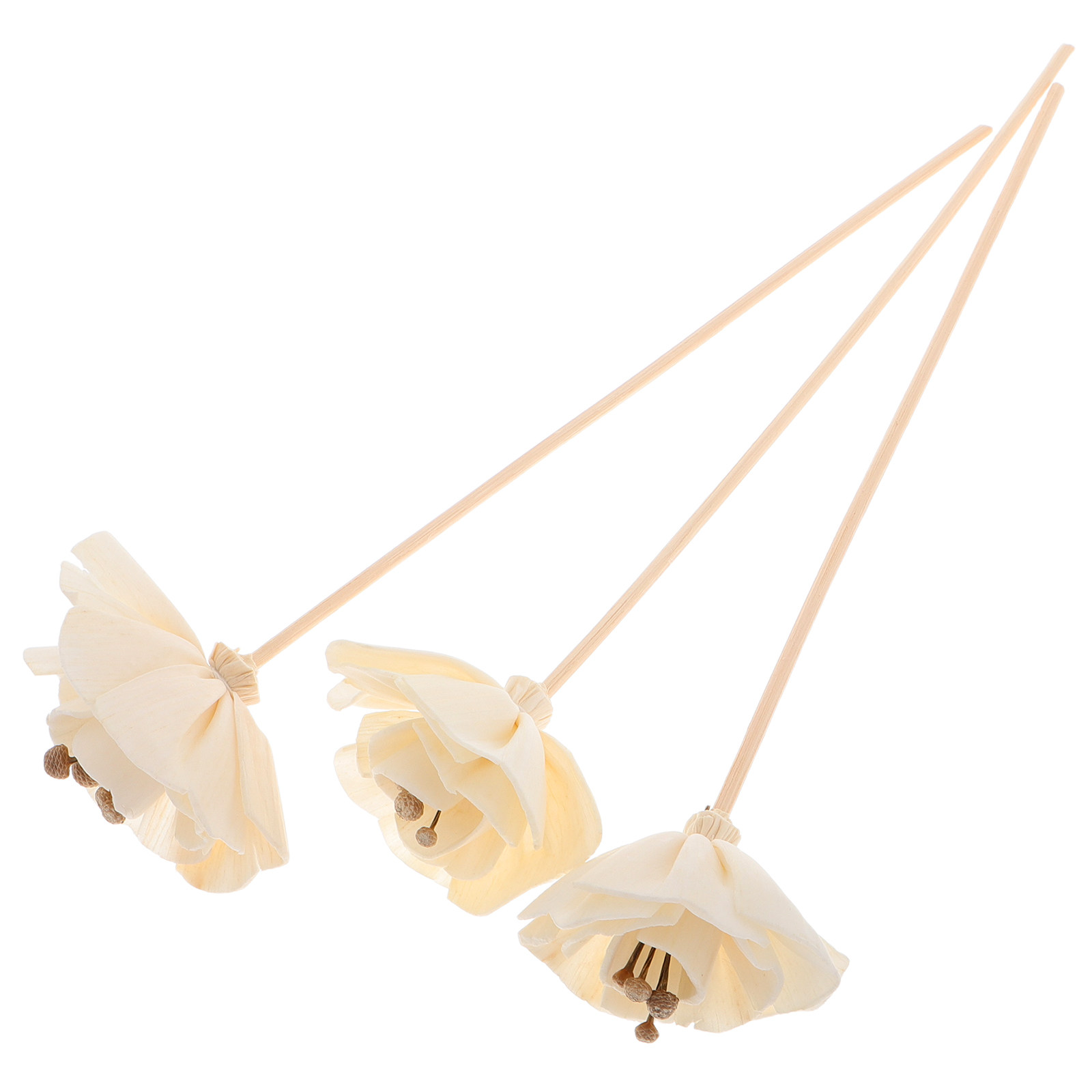 Home Fragrance Natural - 3 szt. Suszone kwiatowe patyczki do
